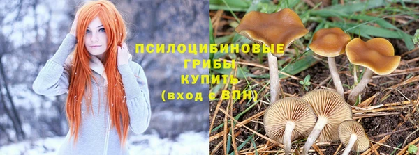 соль курить ск Аркадак