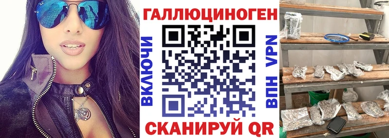 Галлюциногенные грибы GOLDEN TEACHER  магазин продажи   Мосальск 